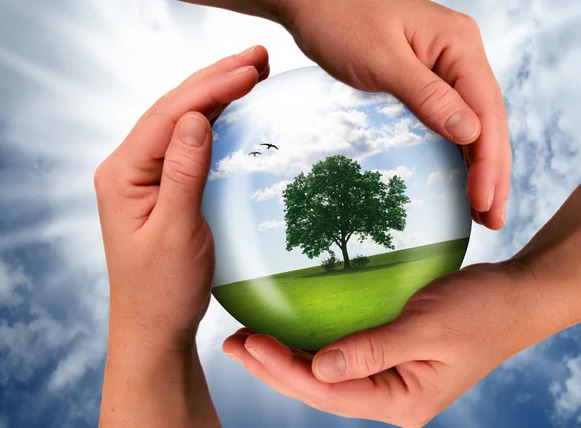 Eco-dream