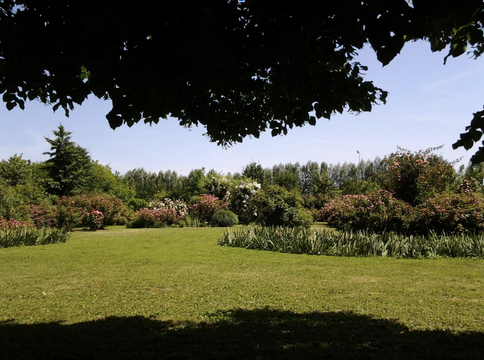 Visite de la Villa Giustiniani