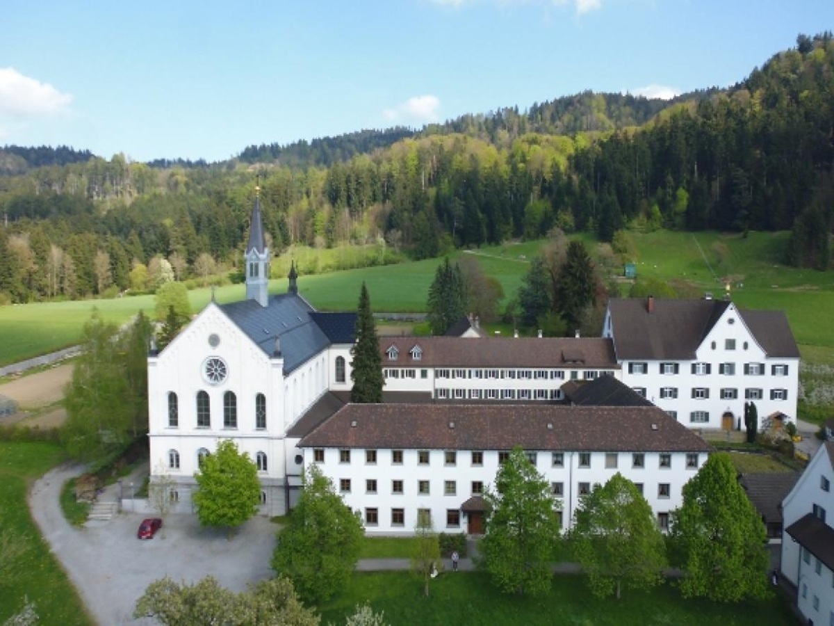 Hildegarde de Bingen et la sagesse des arbres