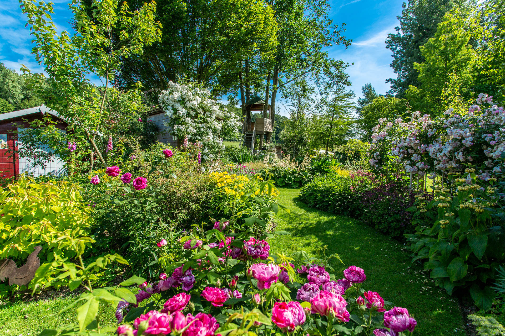 Visite du jardin « Ô Jardin Paisible »