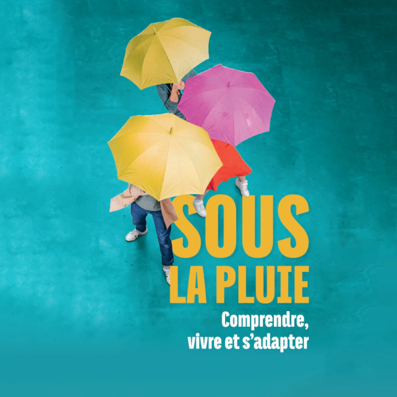 Université Buissonnière – « Sous la pluie » : visite de l'exposition avec le commissaire scientifique