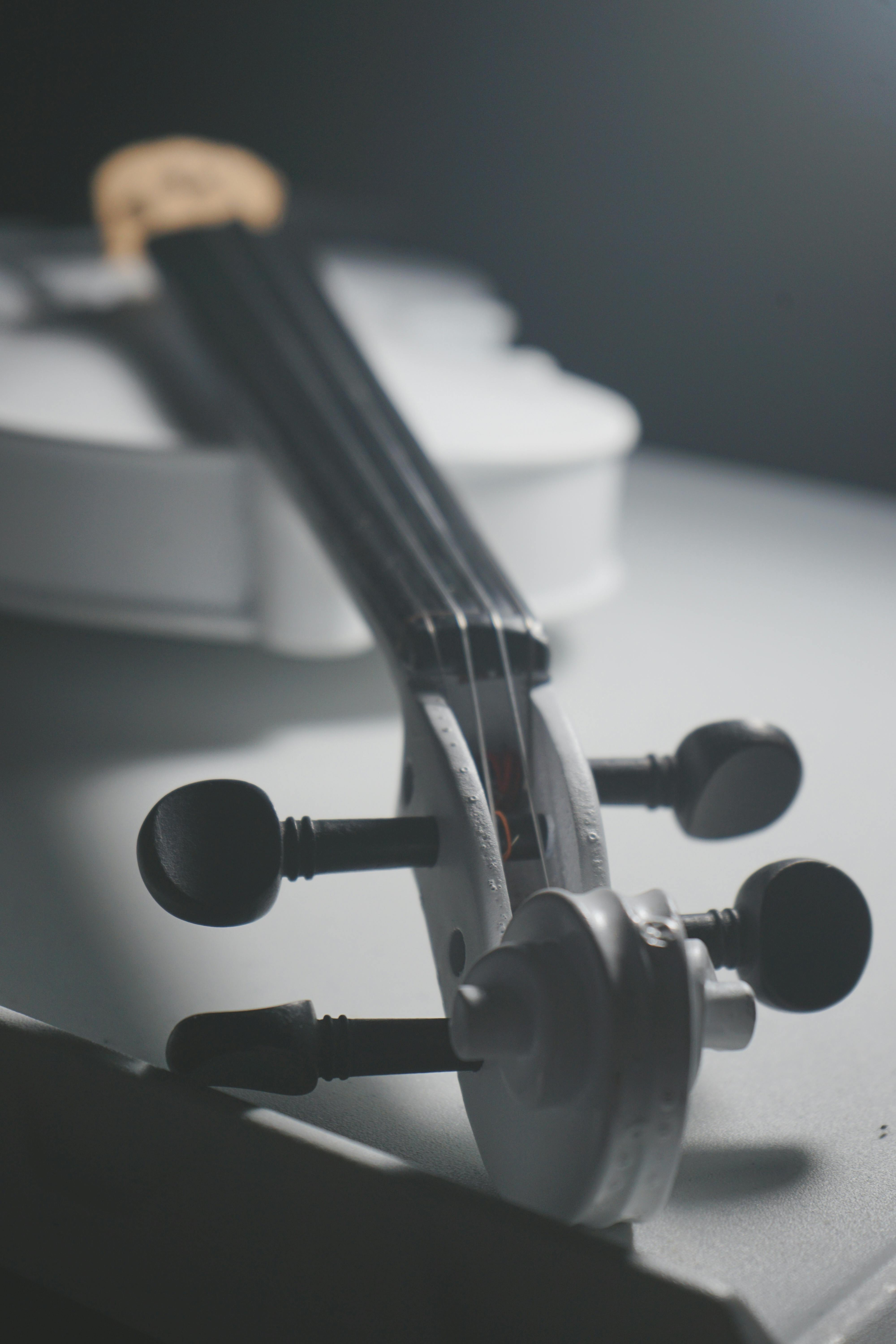 Violon et l’alto