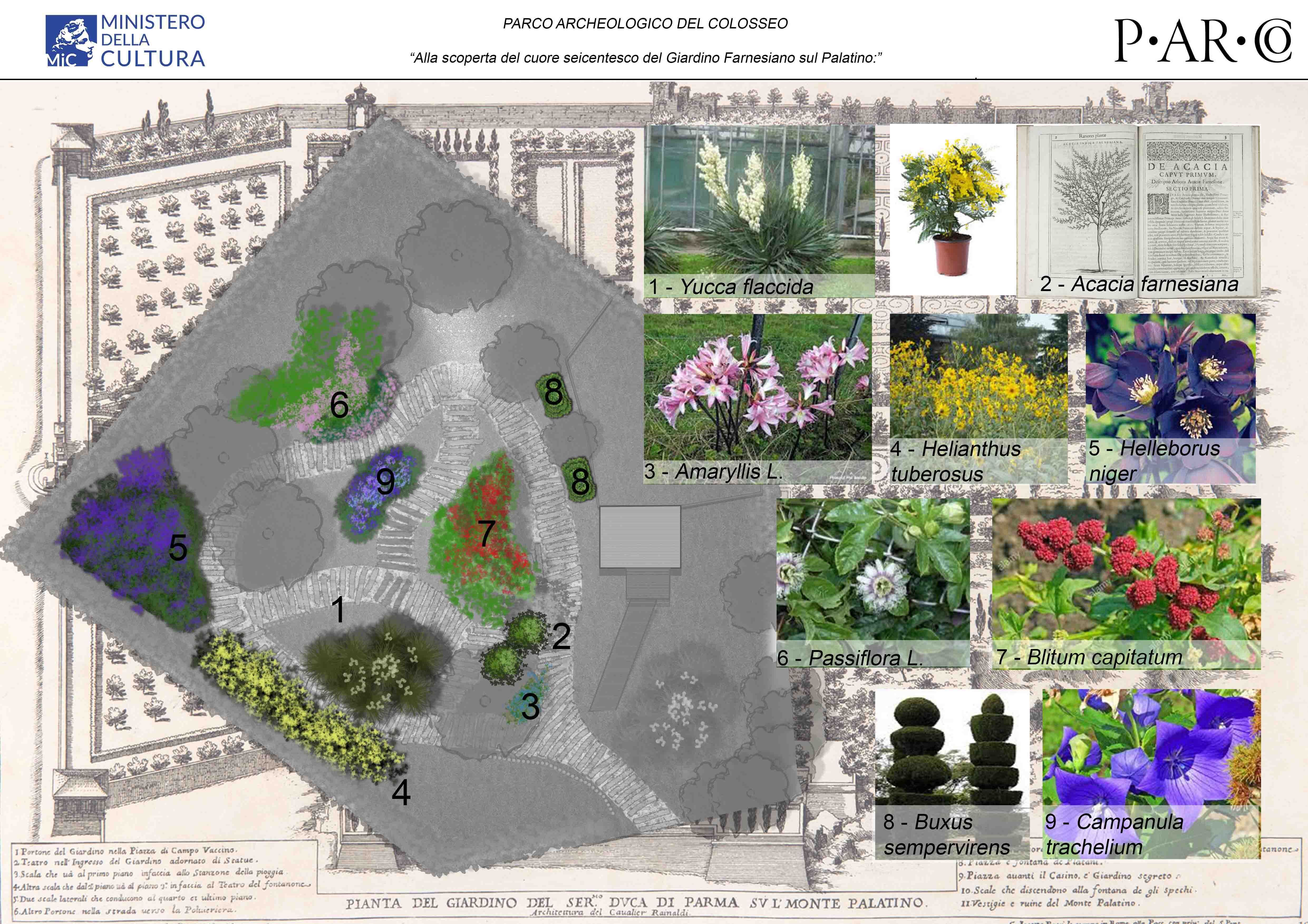 Visite du jardin Farnesian
