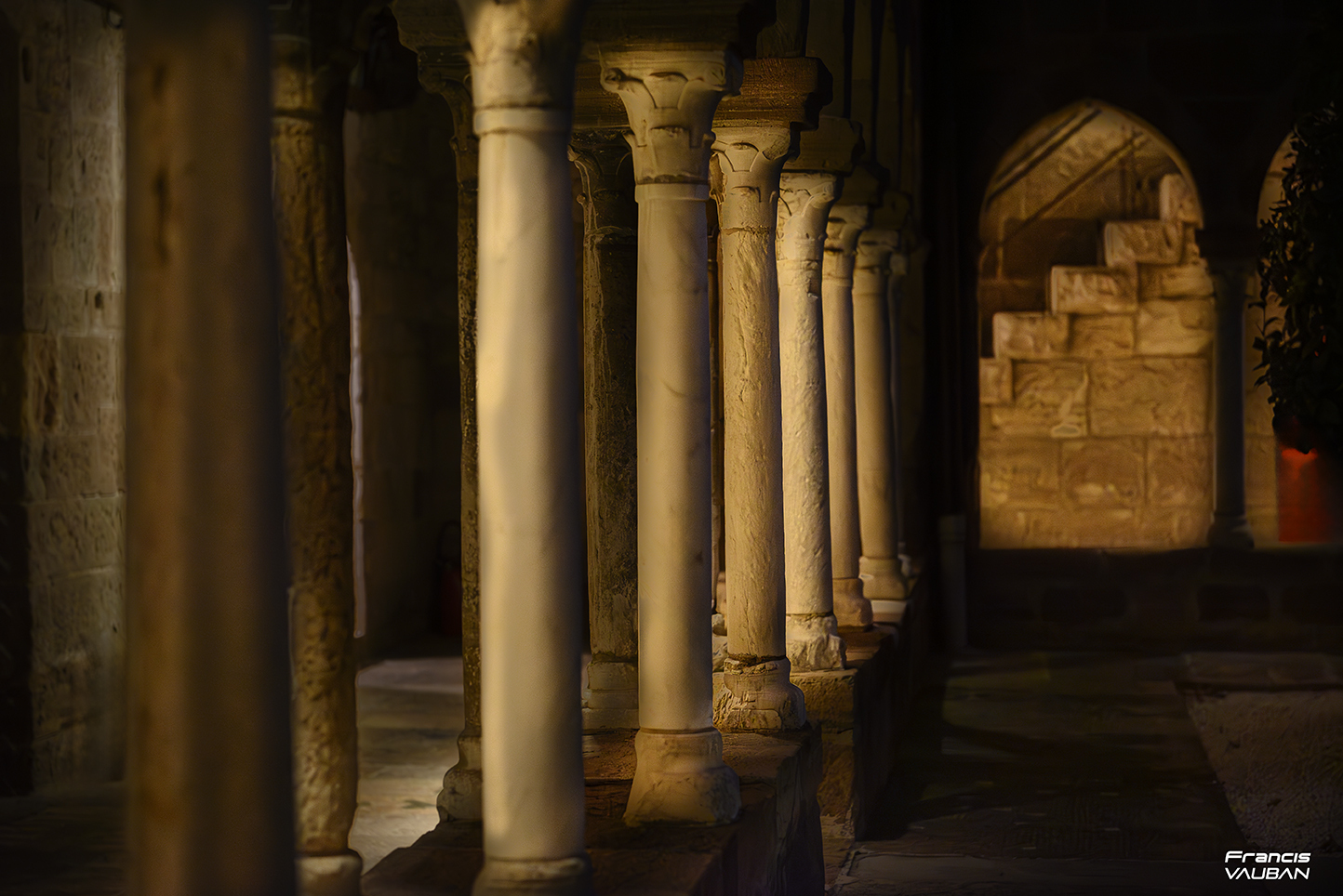 Visite guidée nocturne au cloître de Fréjus !