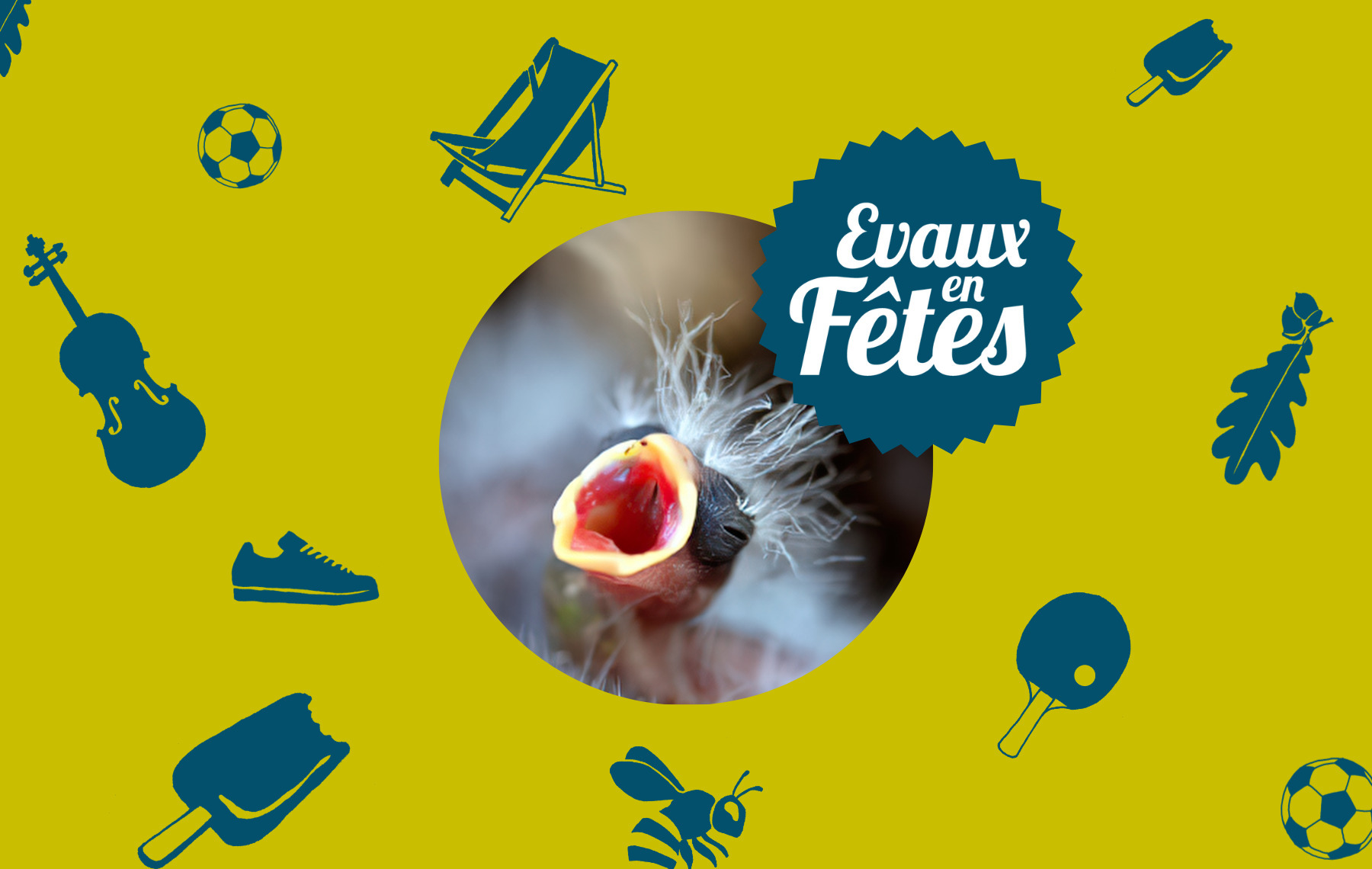 Soins aux oisillons tombés du nid