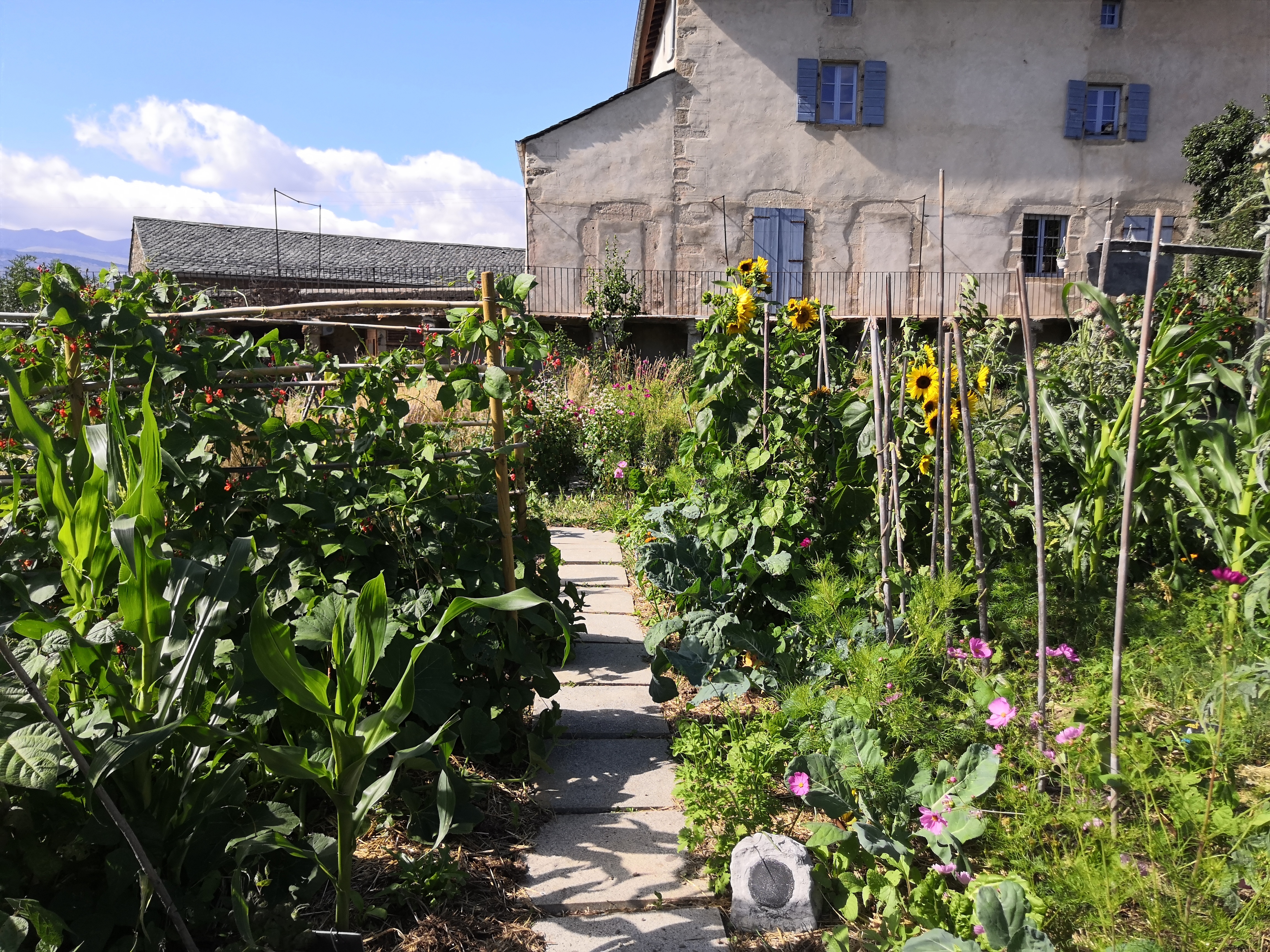 Visite découverte du jardin du Musée de Cerdagne.
