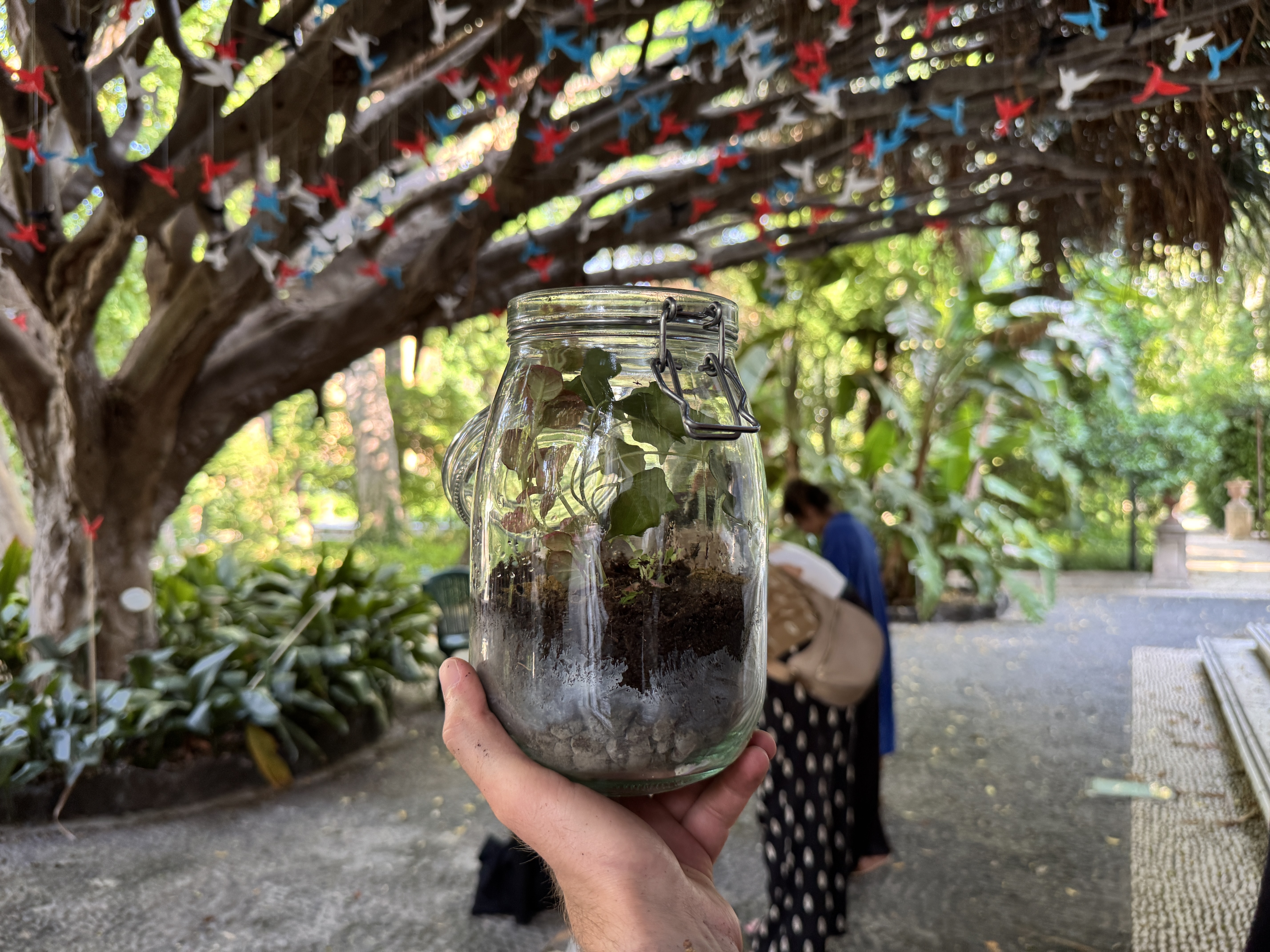 Orto in vetro: atelier au Jardin Botanique