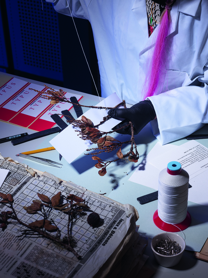 The European Artistic Crafts Days: Creating herbarium specimens