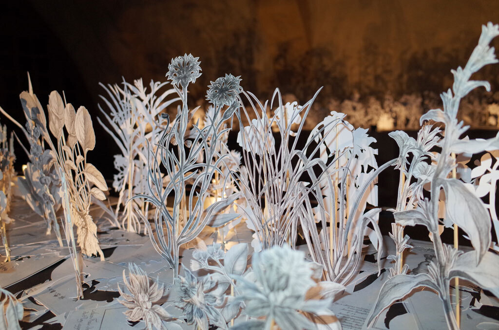 Jardin de papier