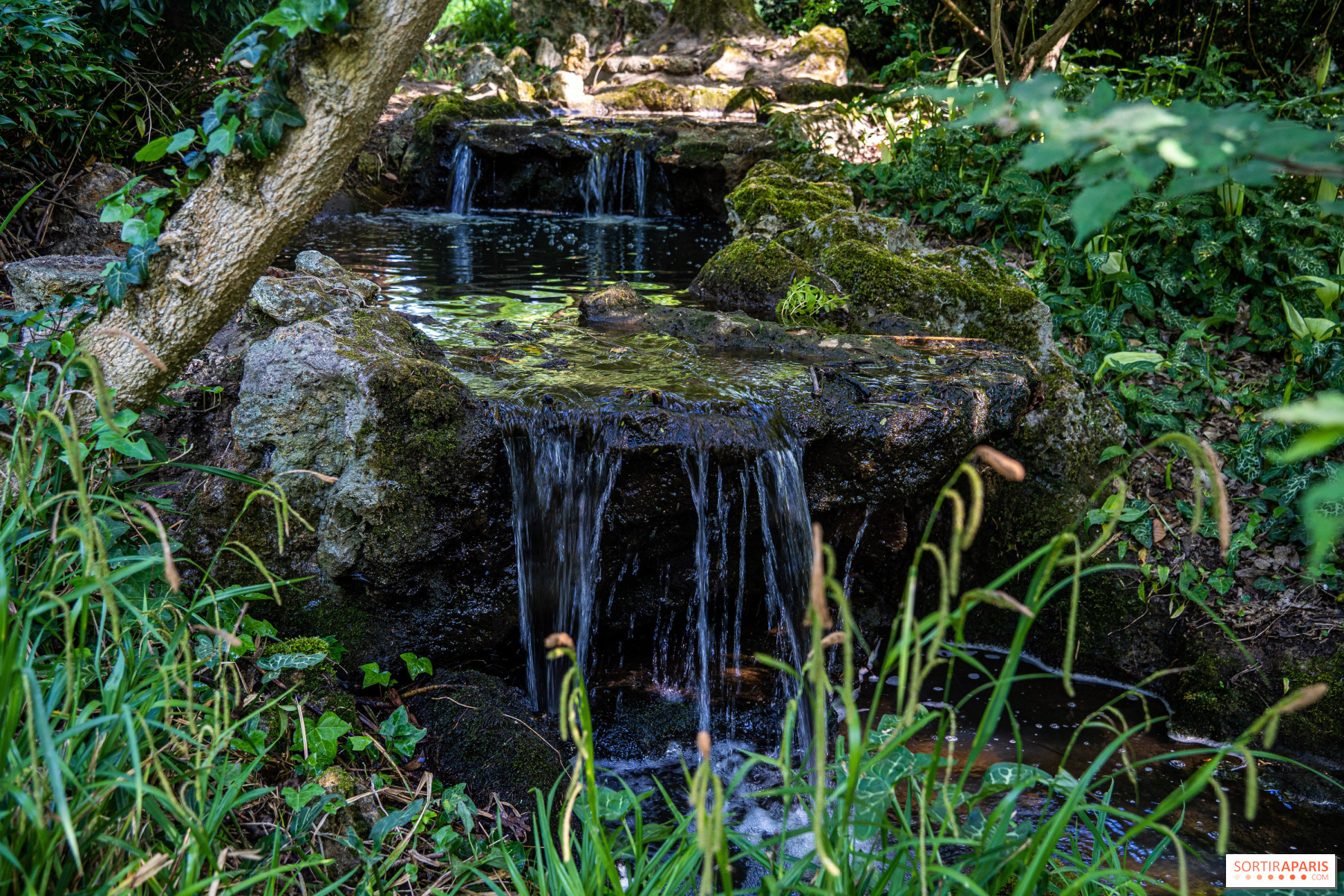 🌿Balade guidée estivale :🚶‍♀️ Balade nature au parc Edmond-de-Rothschild- BOULOGNE-BILLANCOURT