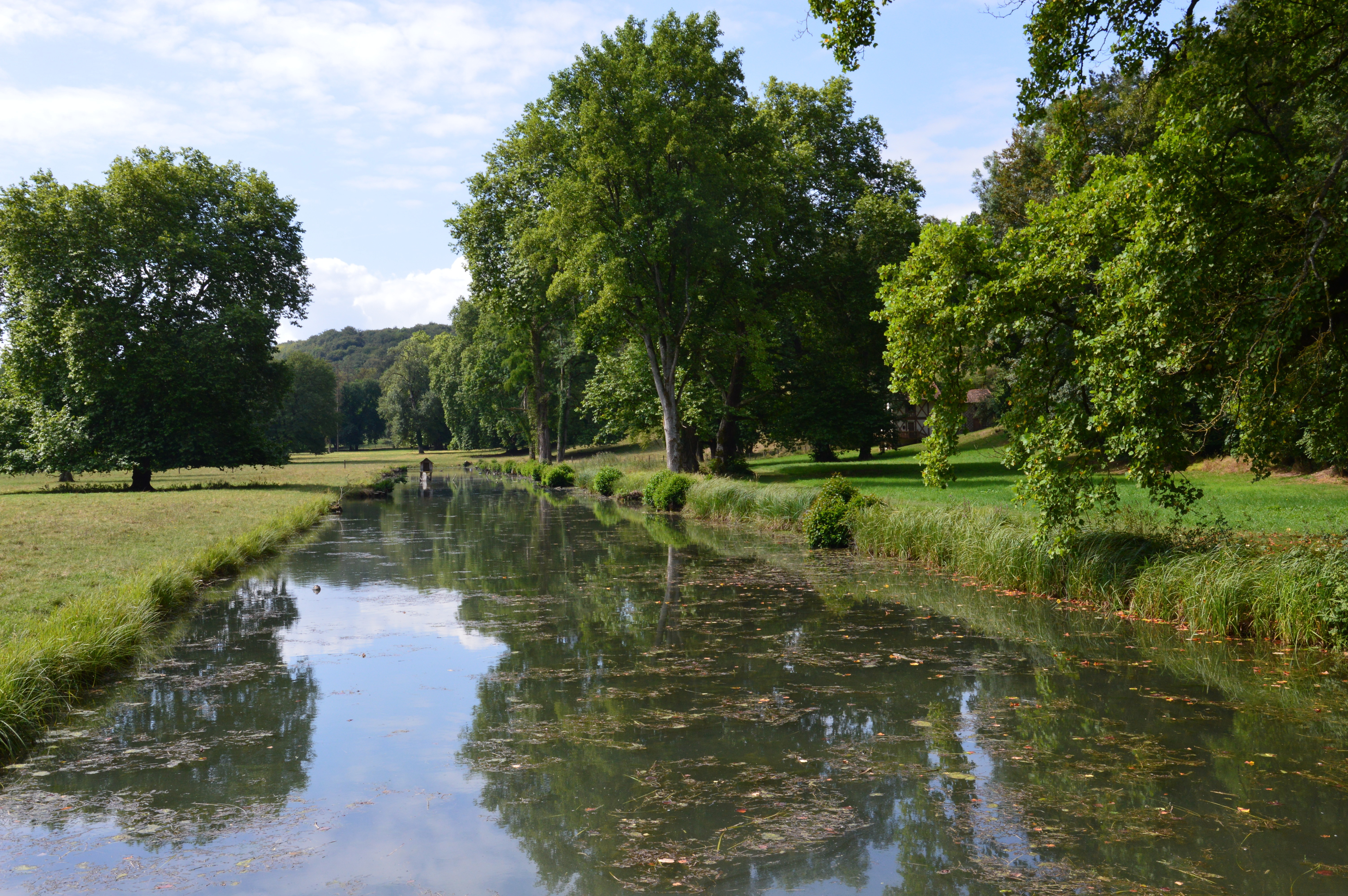 Visite découverte du parc du château de Cirey