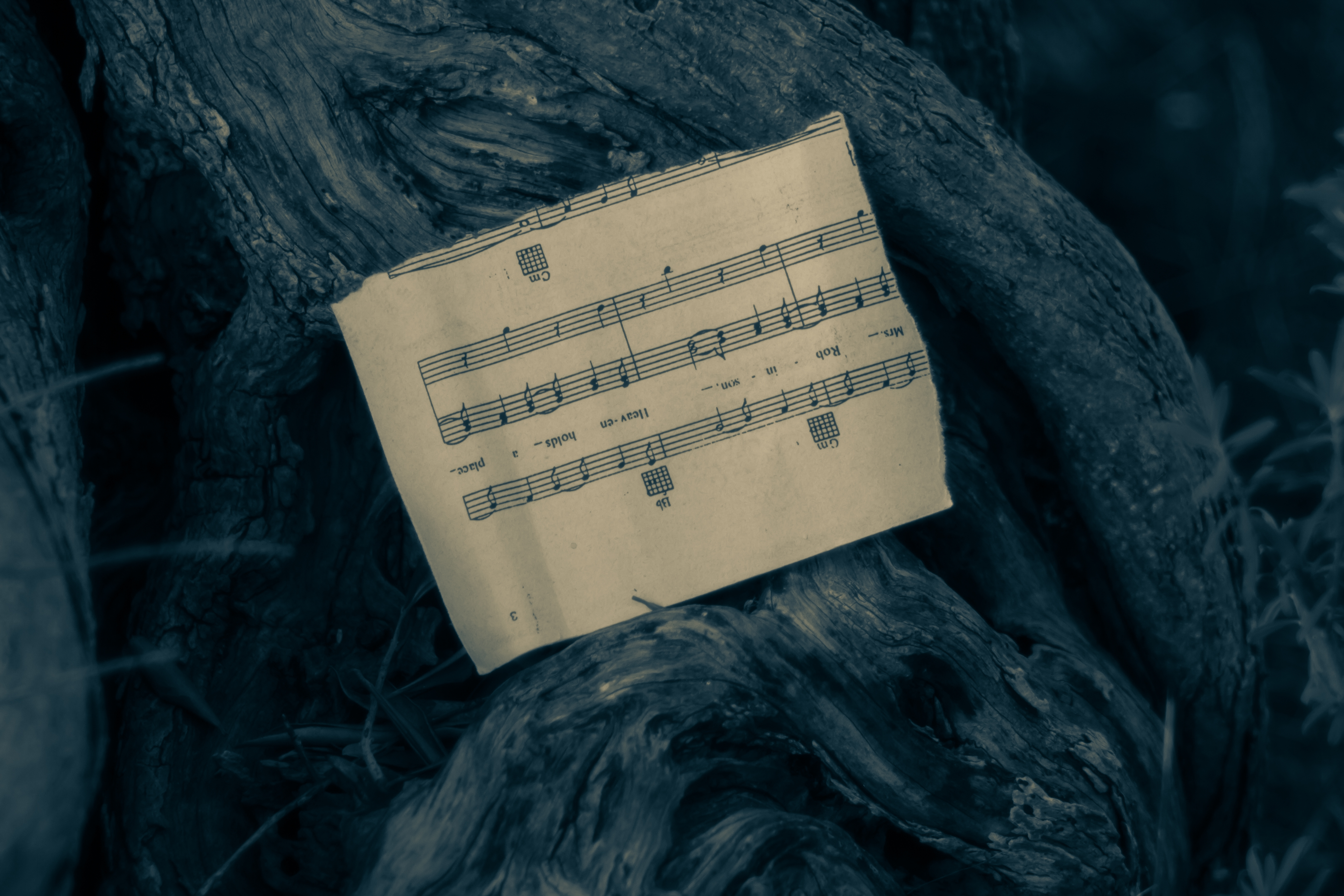 Musique et écologie : connexions et enjeux