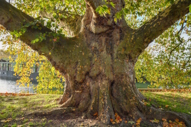 Parc de la Citadelle, Lille Vauban