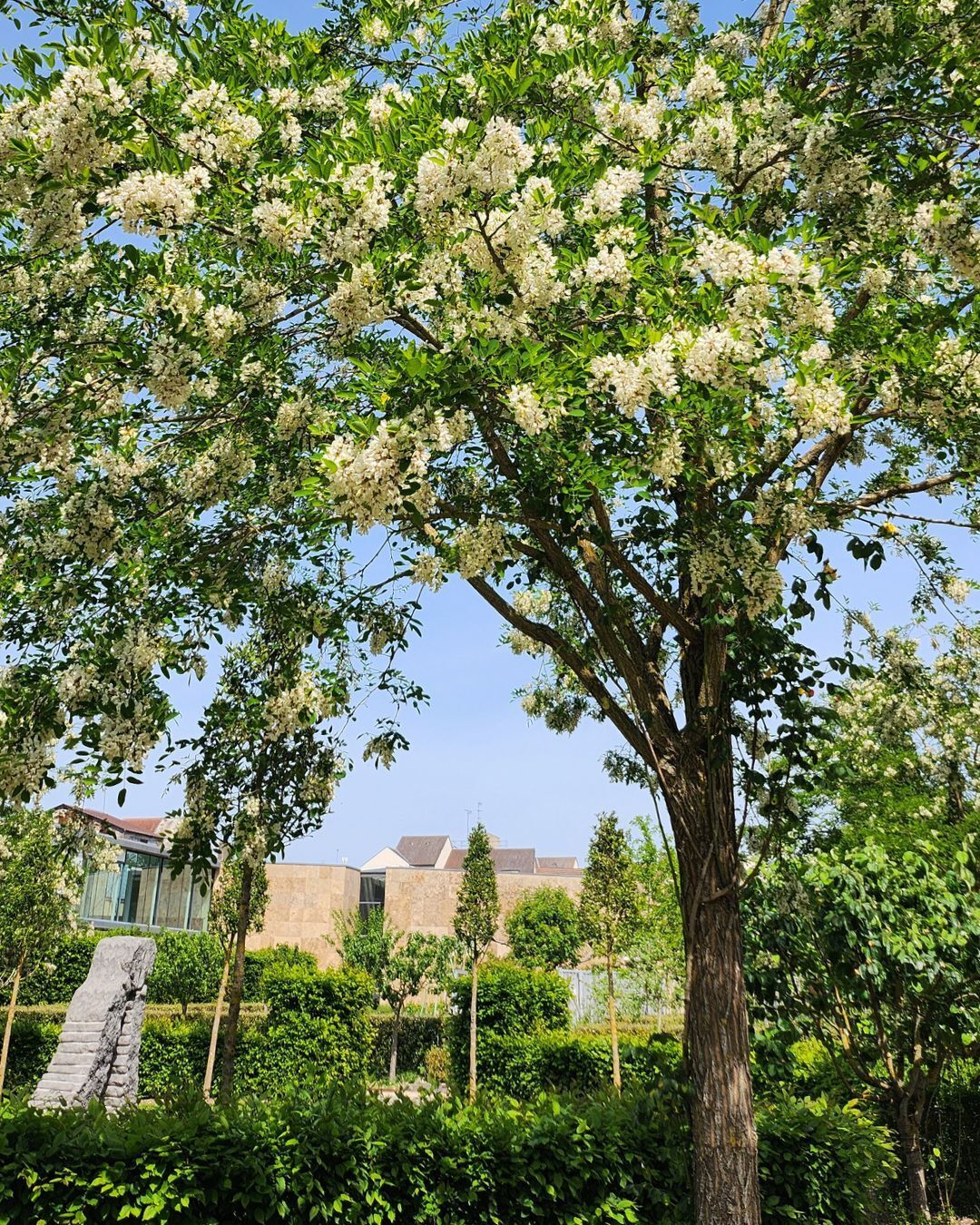Visite guidée du Parc de sculptures avec Ludovic Bailly, le jardinier
