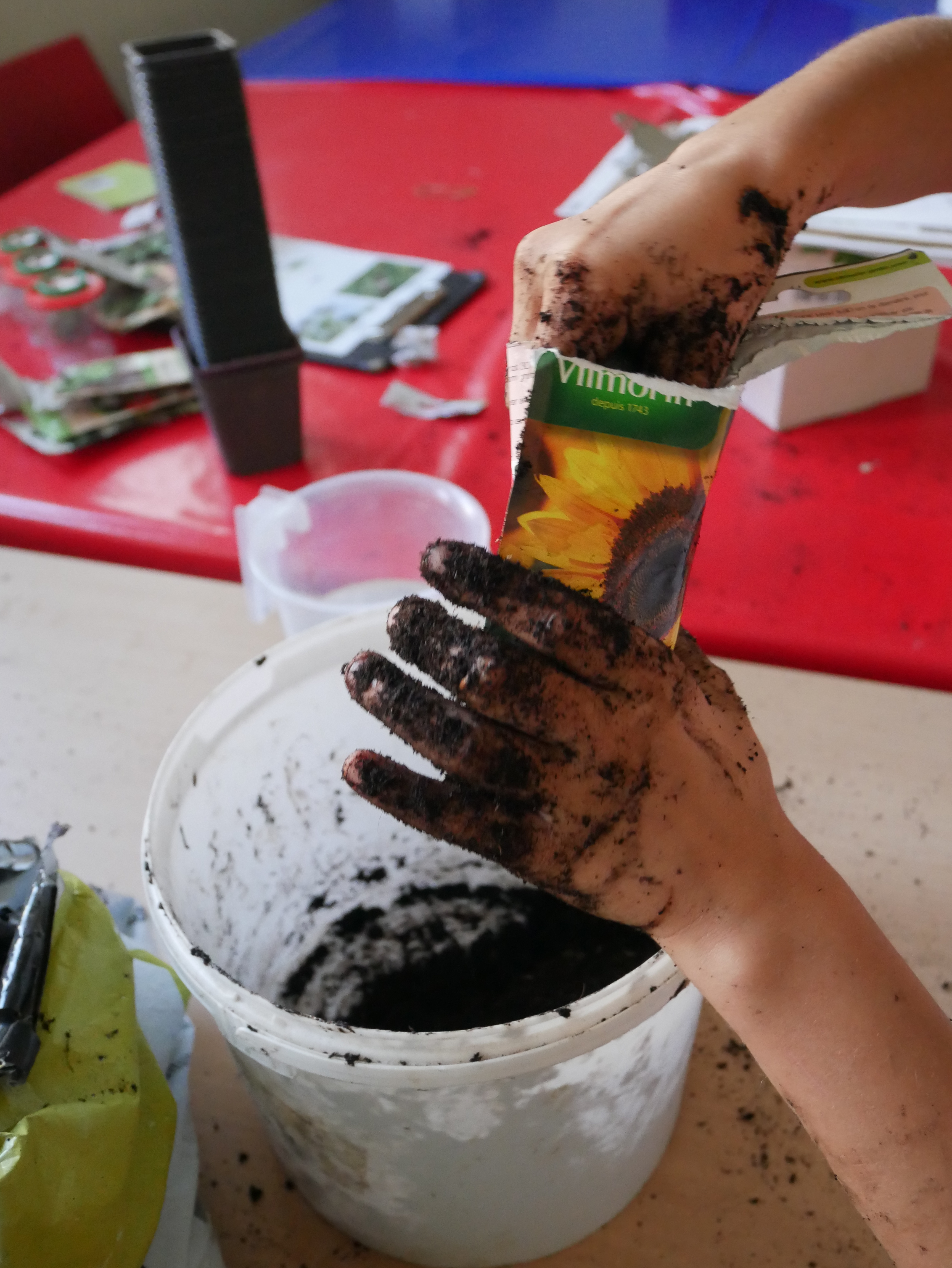 Atelier en famille - Histoire de la biodiversité dans le jardin du musée de l'Ancien Évêché
