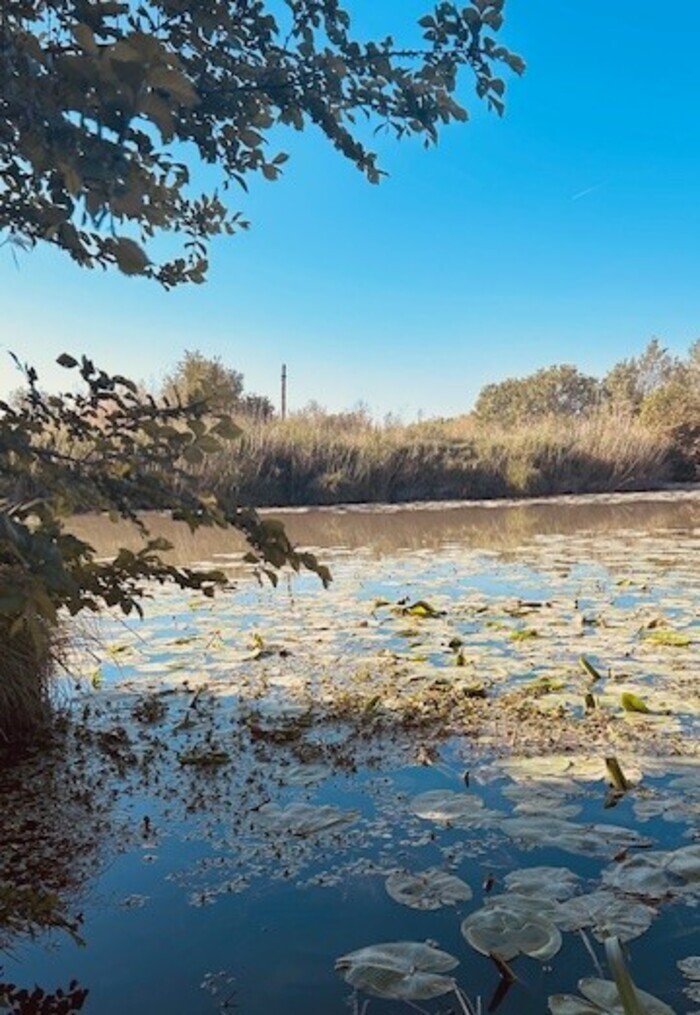 Base Nautique Beauchamp Pont de Crau Arles
