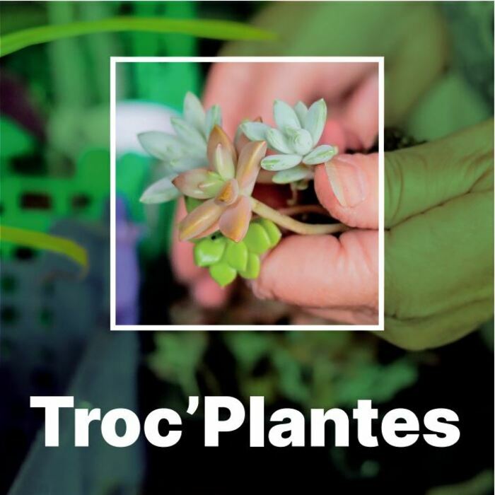 Rendez-vous aux jardins