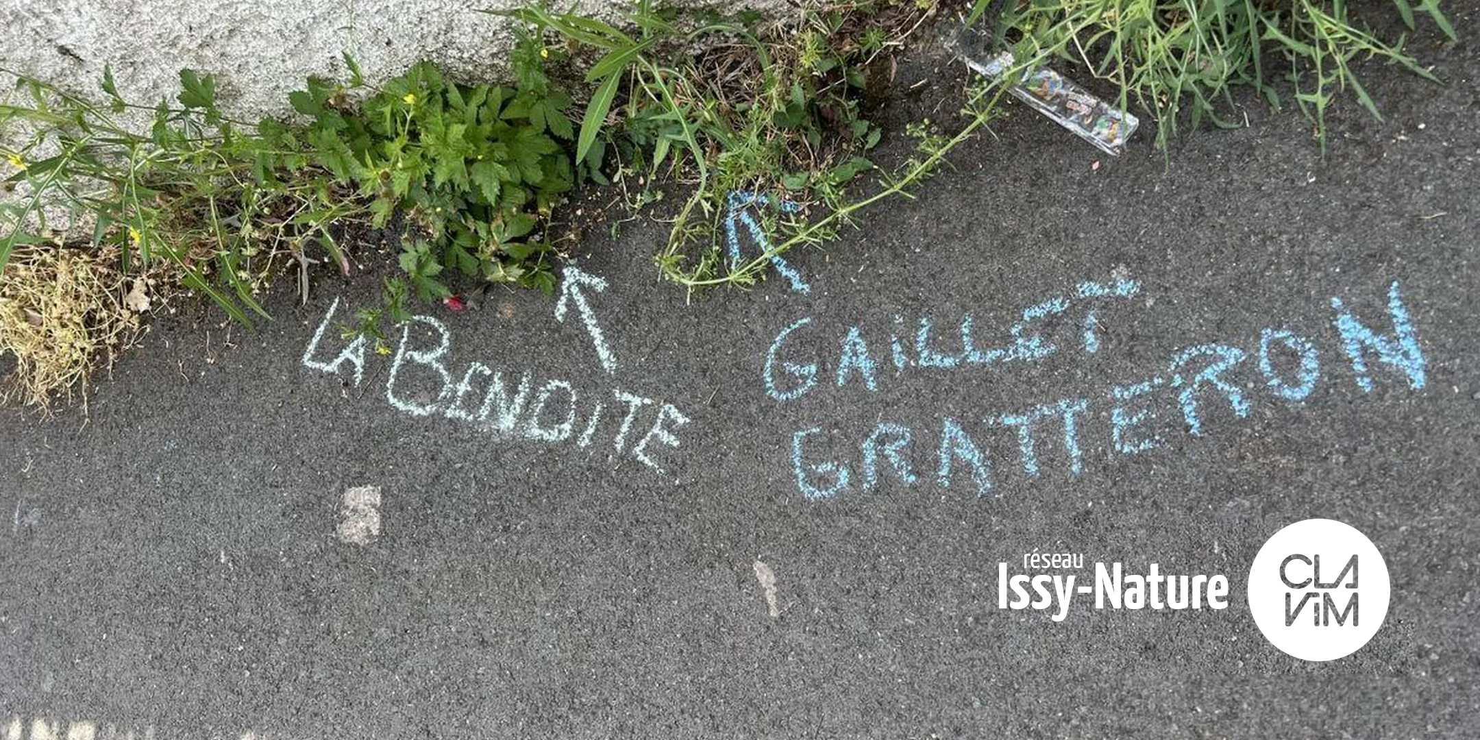 Initiation : Sauvages de ma rue