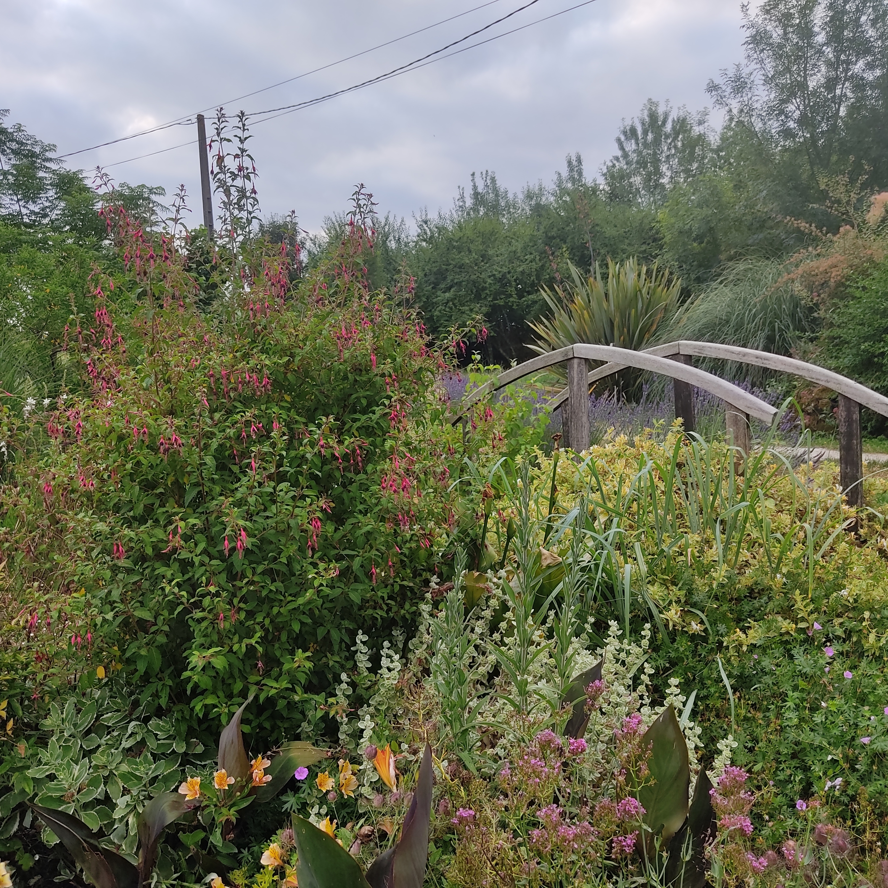 À la découverte d'un jardin naturel d'inspiration anglaise