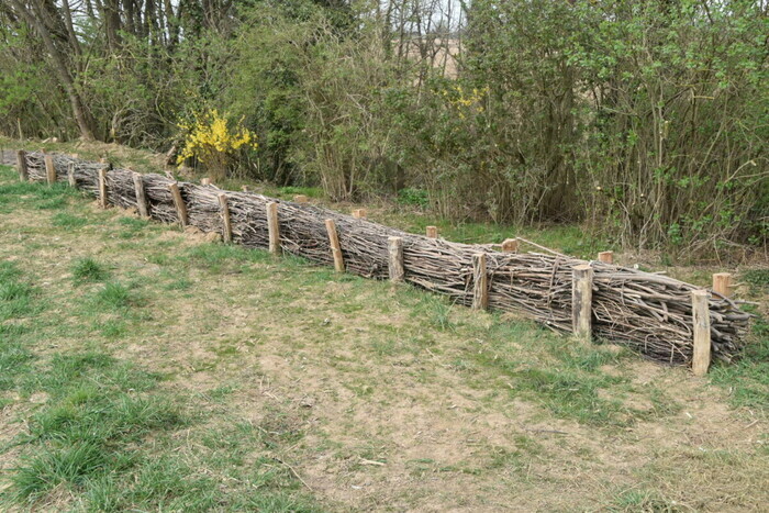 Réalisation d’une haie sèche