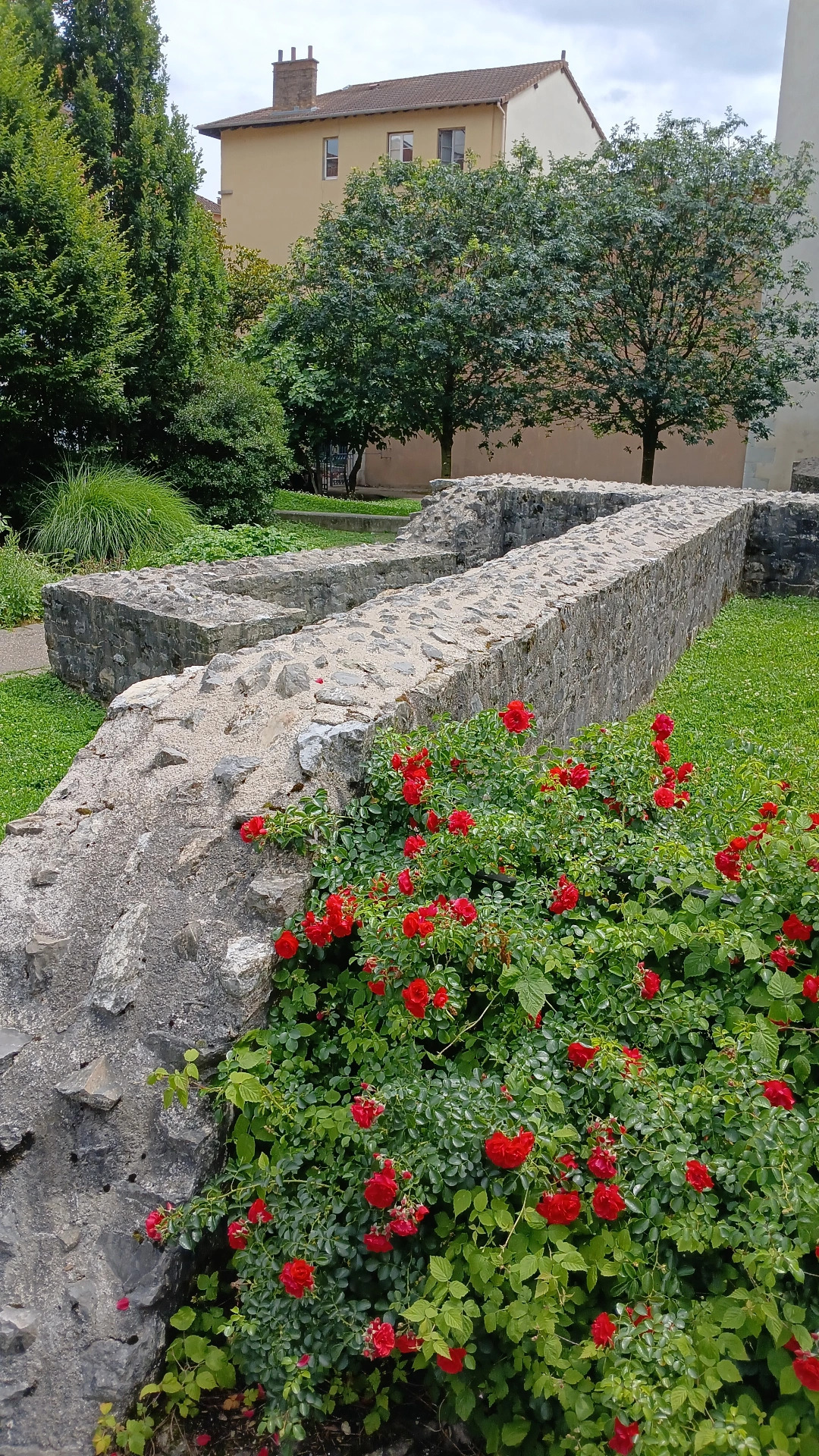 Visite guidée - Le jardin du musée