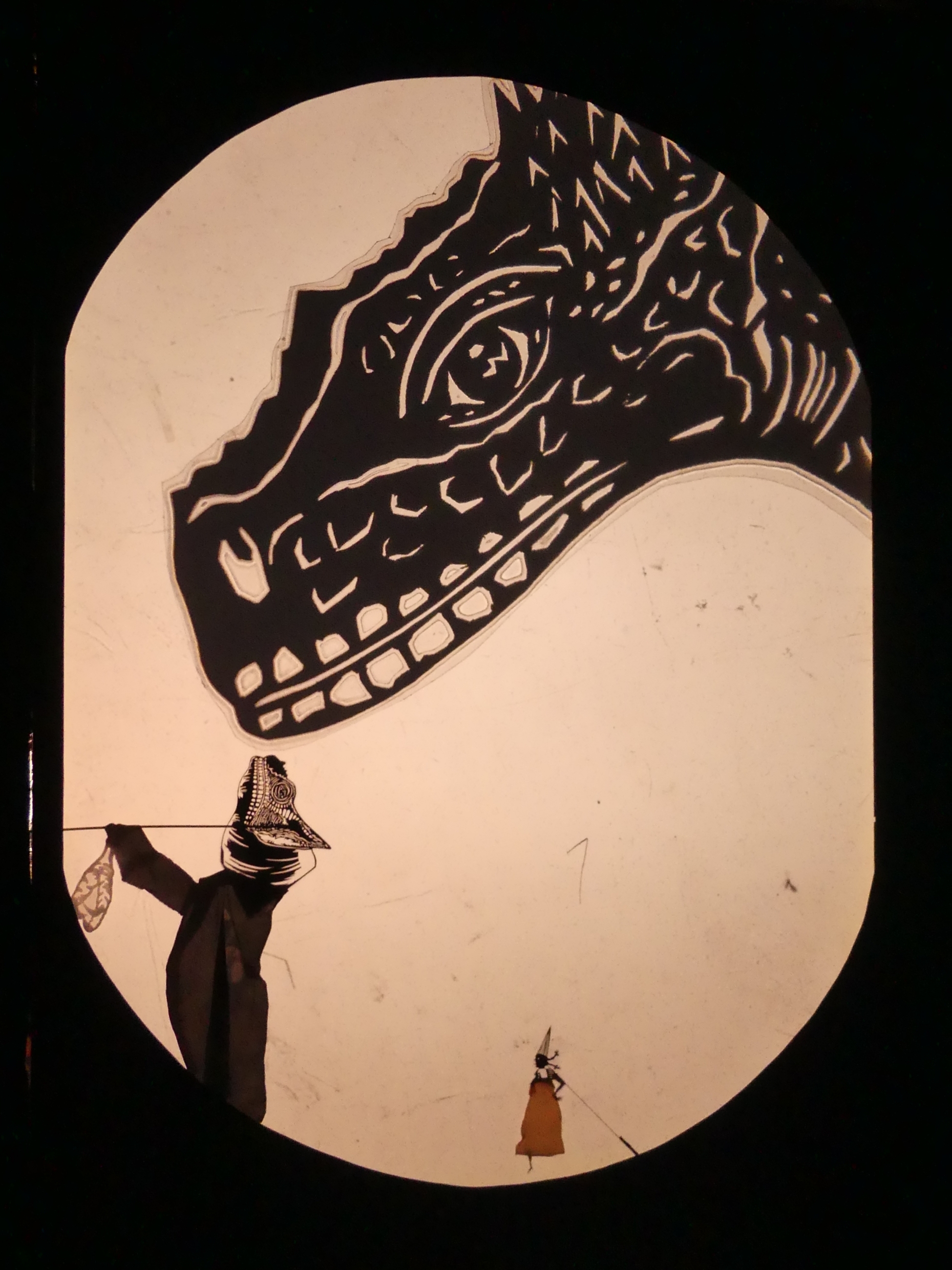 Ombres animalières