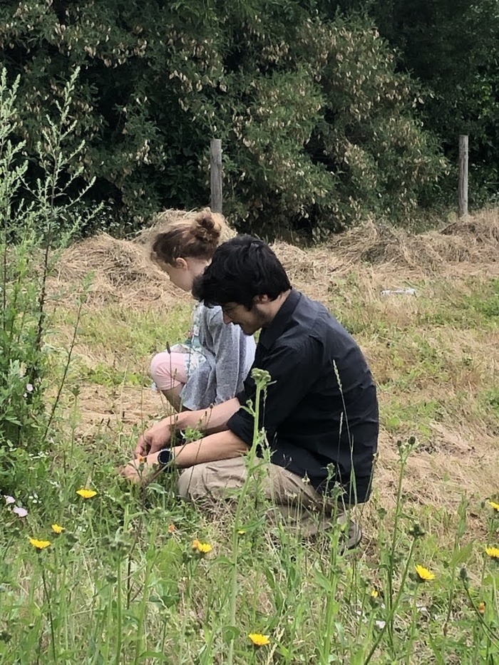 BALADE / La balade sera l’occasion d’apprendre à identifier les principales plantes sauvages du parc.