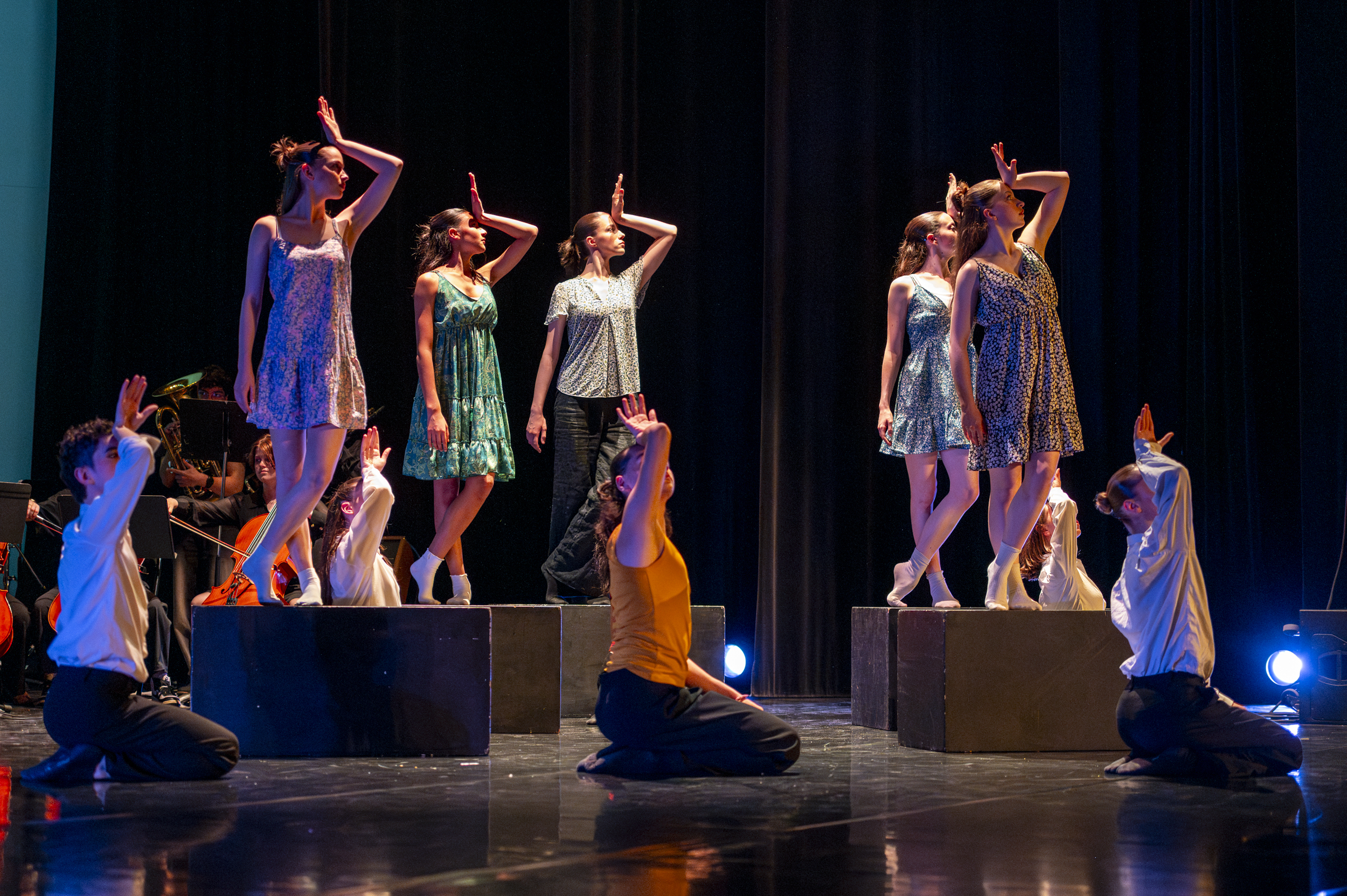 Histoires de danse
