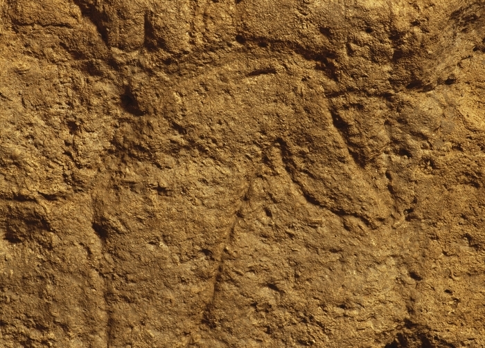 Grotte de Pair-non-Pair