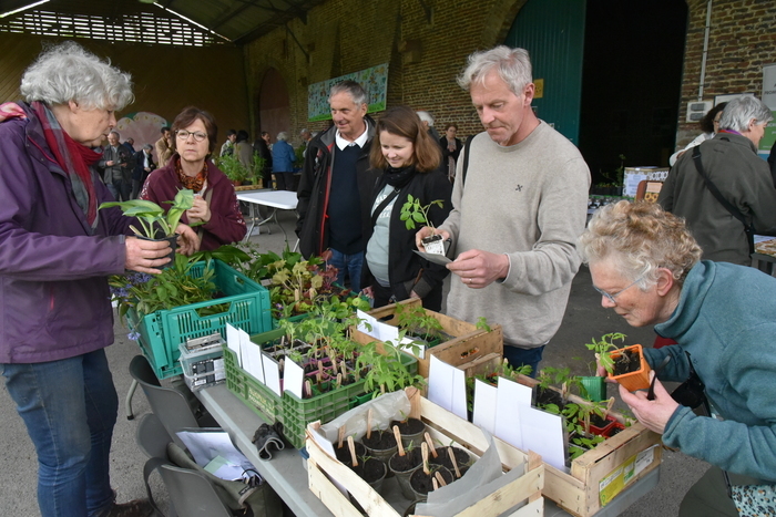 On the 8th of May, we trade seeds and plants!