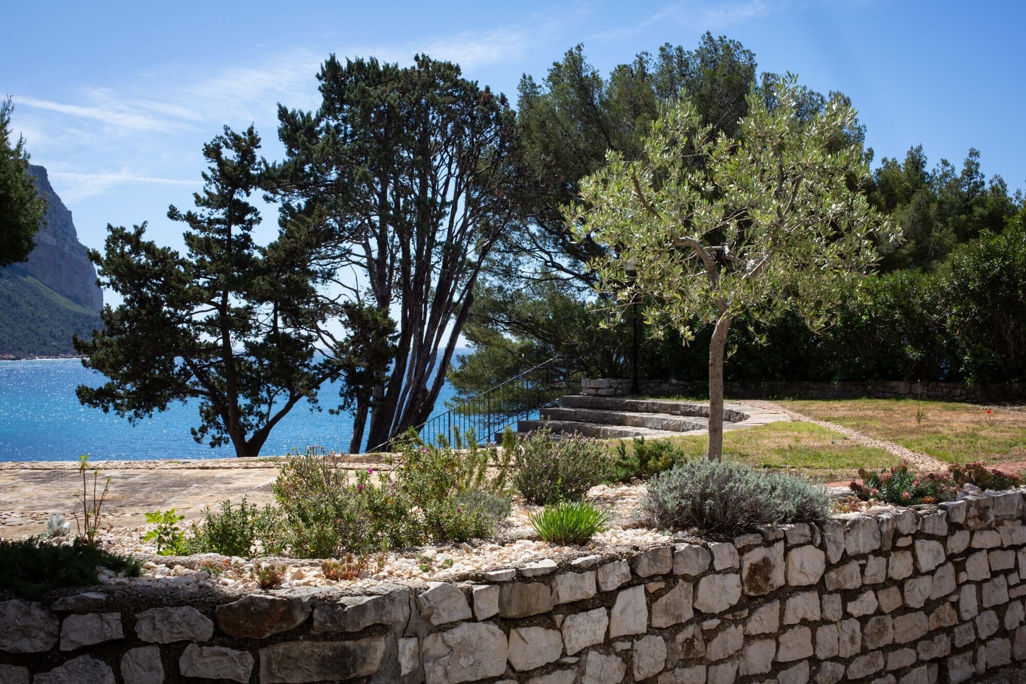 Visite découverte du jardin méditerranéen