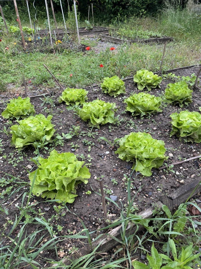 Atelier jardinage