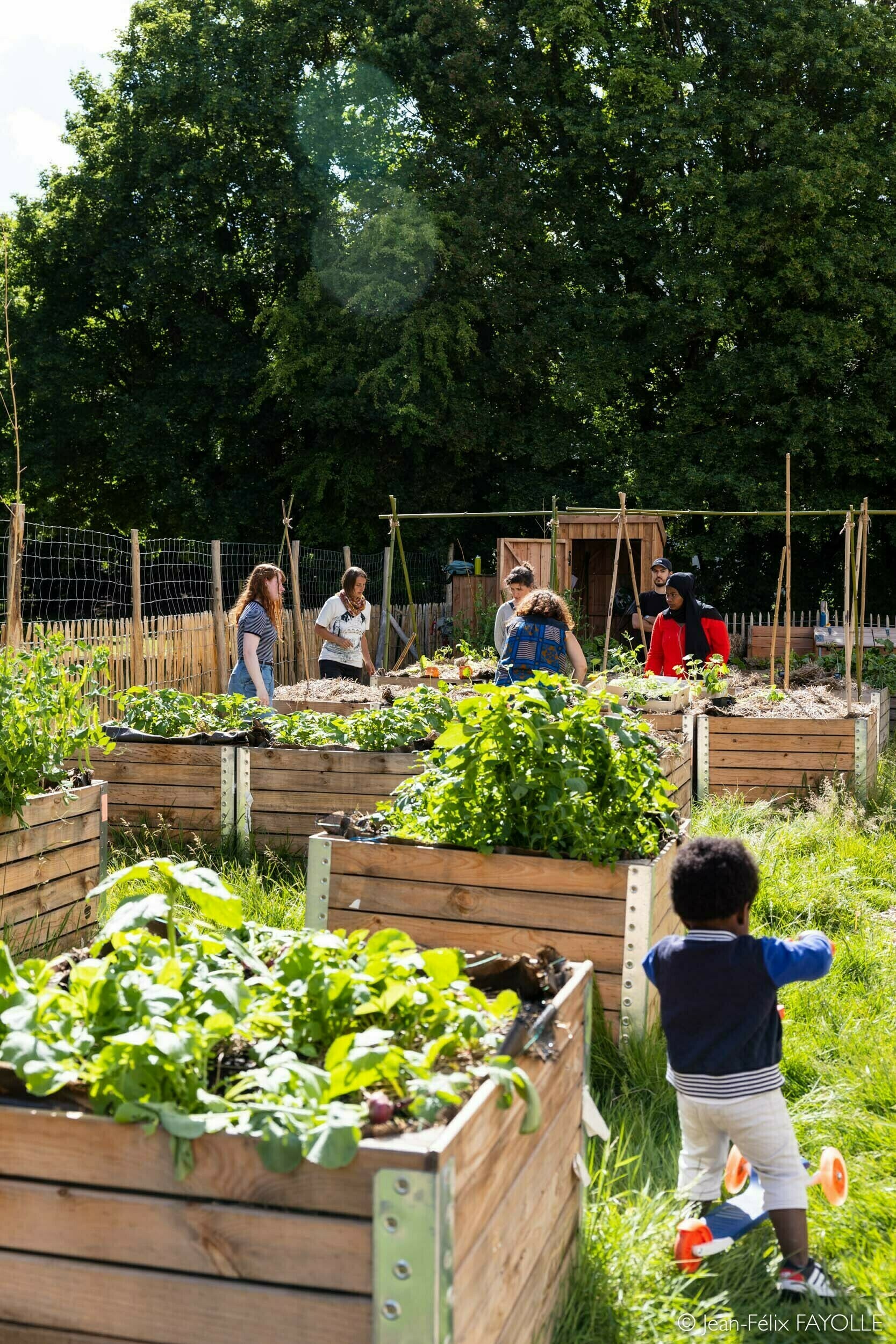 Rendez-vous au jardin Sensive Terre