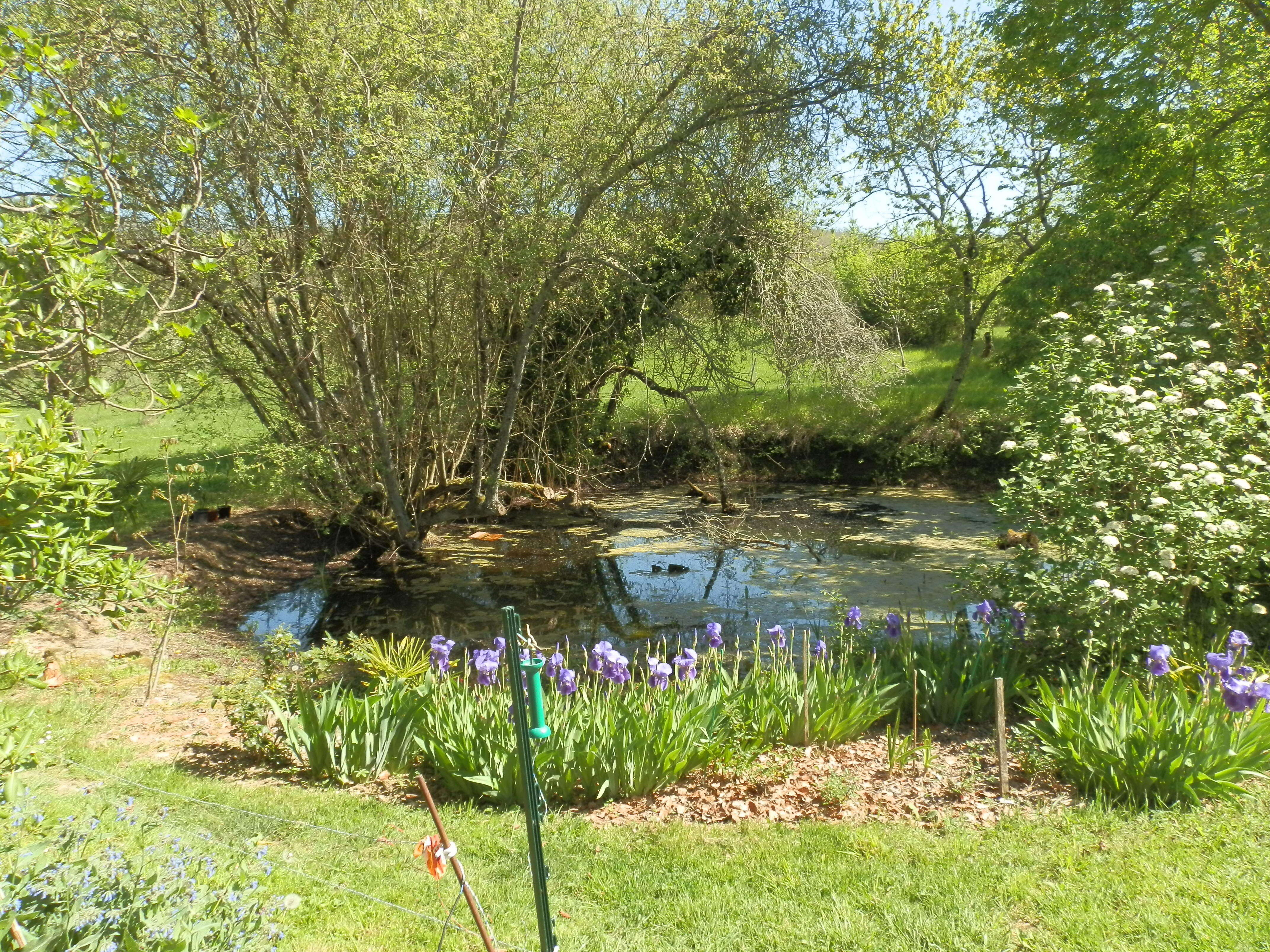 Visite commentée du Jardin de Las Muraillès