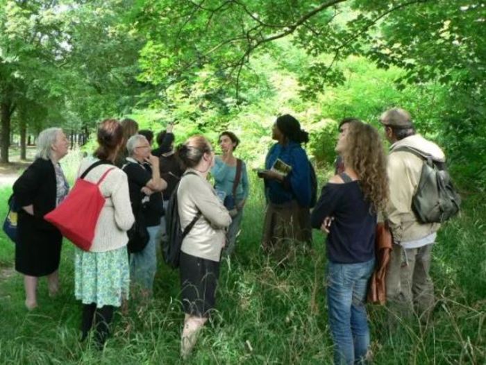 BALADE / Initiation à la reconnaissance des plantes