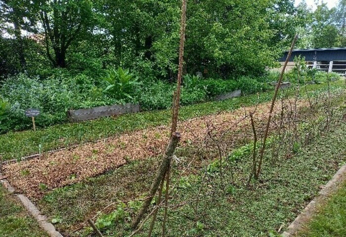 Dand le jardin d'un particulier
