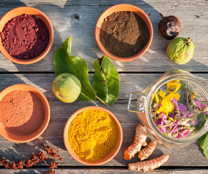 Workshop Tinctorial plants