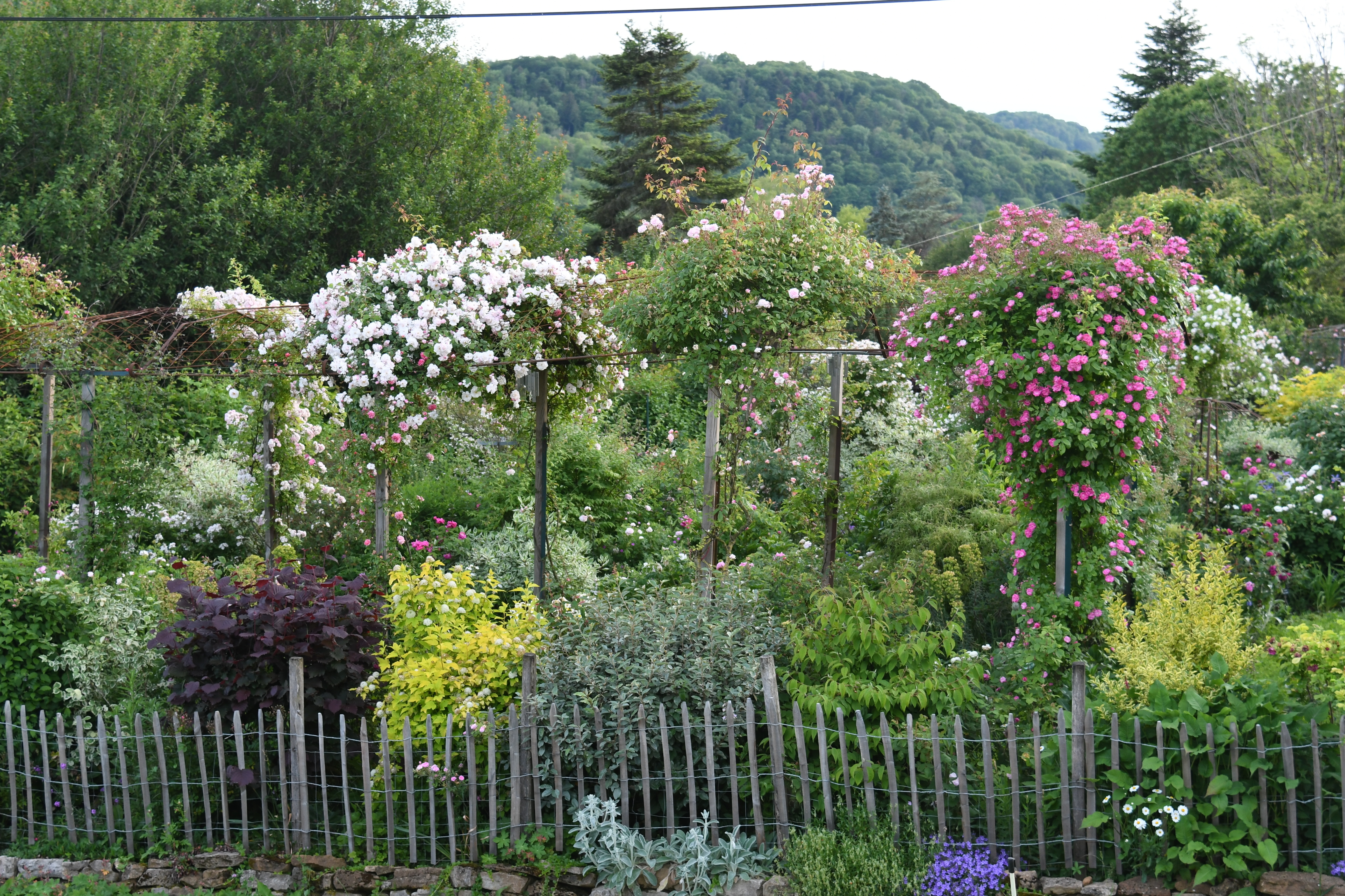 Visite du jardin des Nouvelles