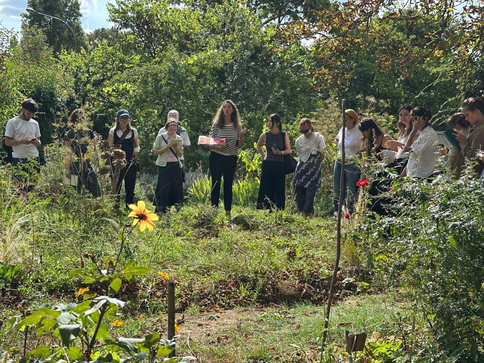 Visite botanique du jardin tinctorial et démo teinture végétale