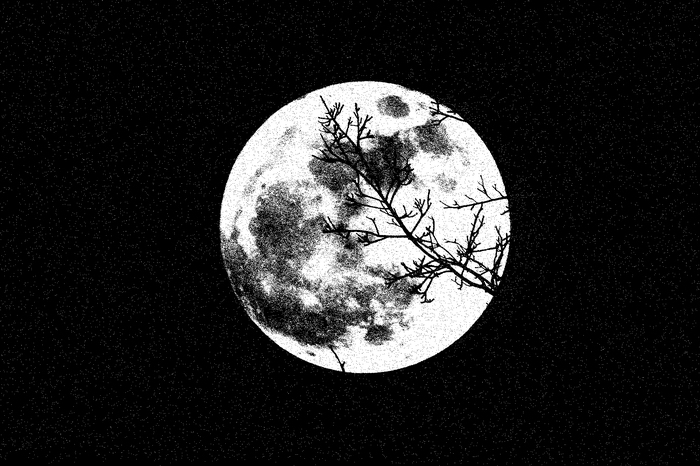 Les échos du silence