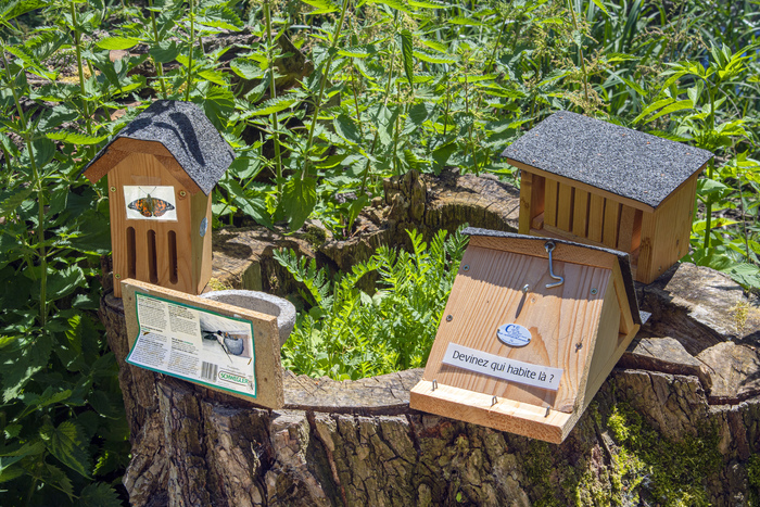 Offrez un refuge aux oiseaux