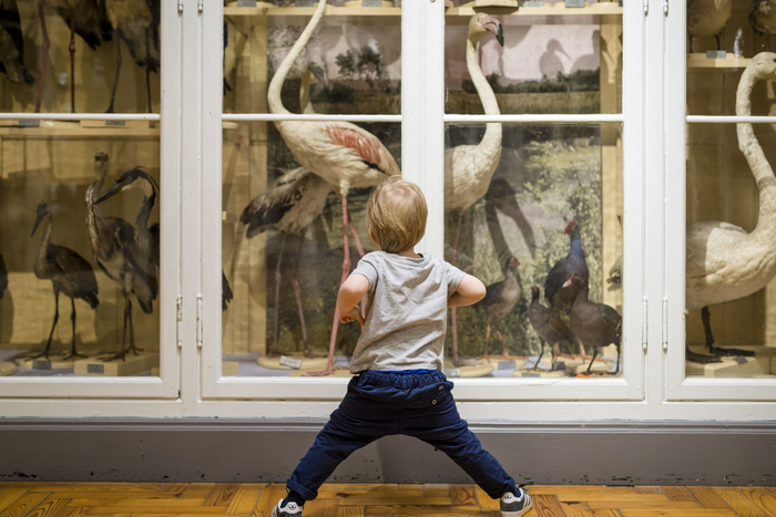 Création d’instruments de musique recyclés et recyclables / Atelier participatif autour des tapis sensoriels