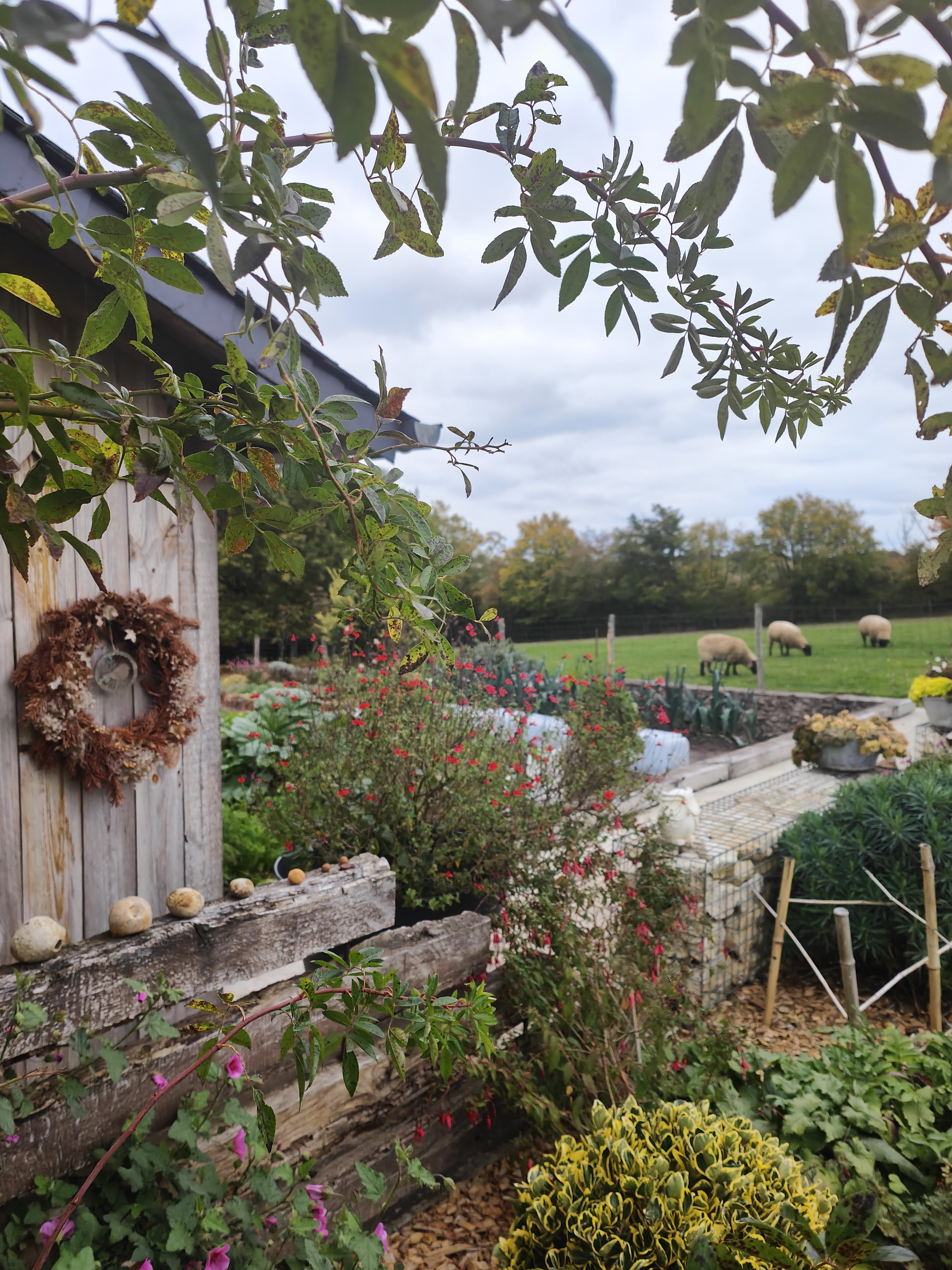 Visite découverte du jardin de Delphine Du Berry