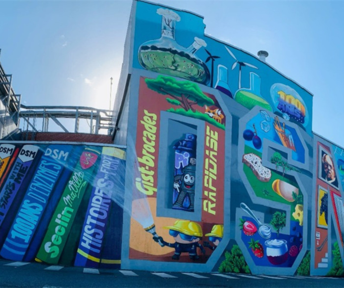 Visite de l'entreprise DSM FOOD SPECIALITES