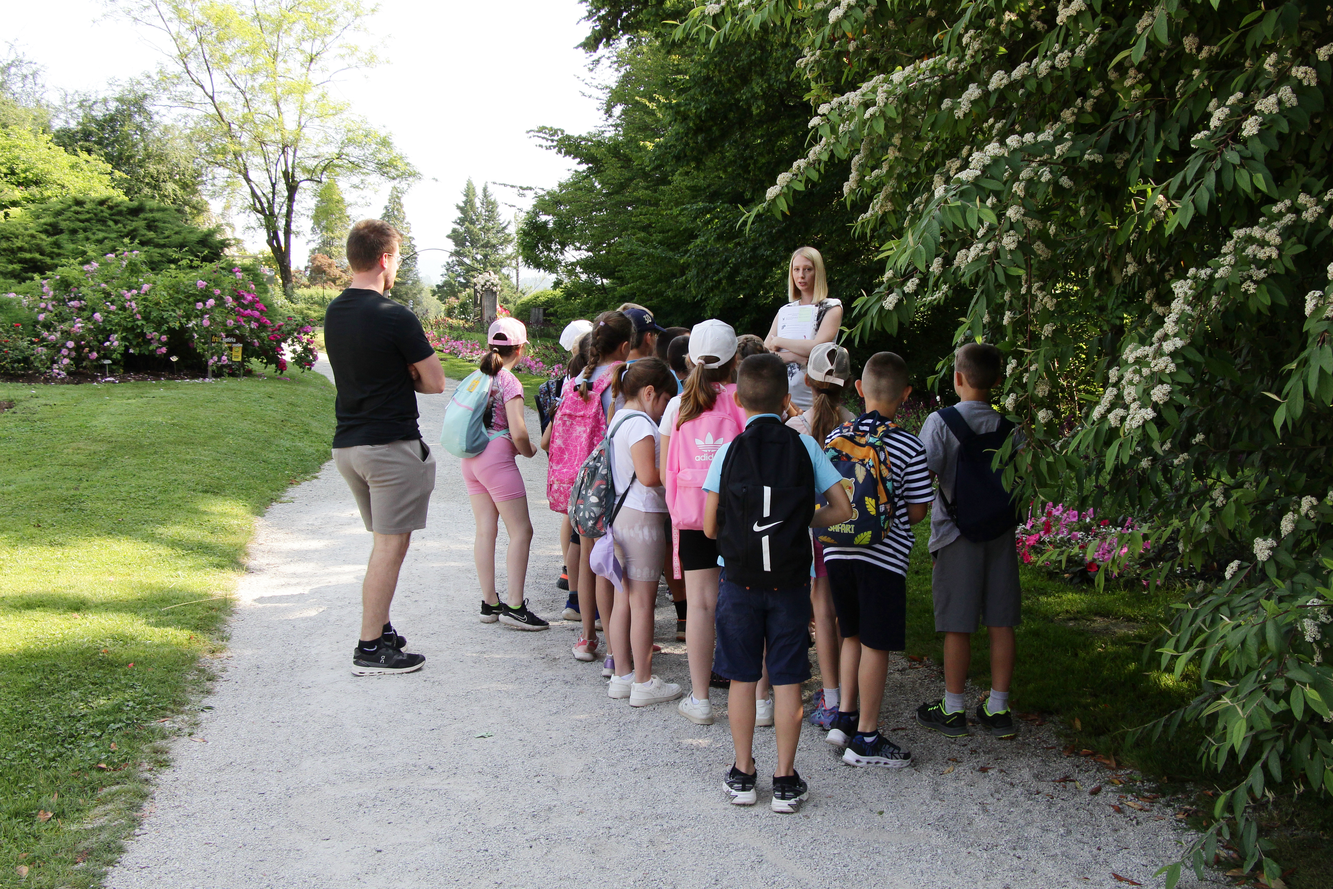 Programme guidé pour les groupes scolaires : Vues