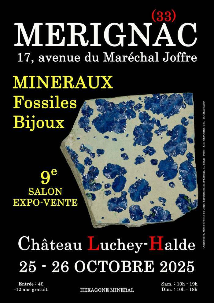 9ᵉ salon minéraux, fossiles et bijoux de Mérignac (Gironde)