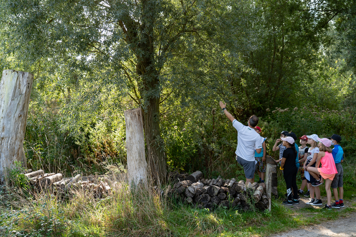 Naturalistic walk: a nature to (de)paint