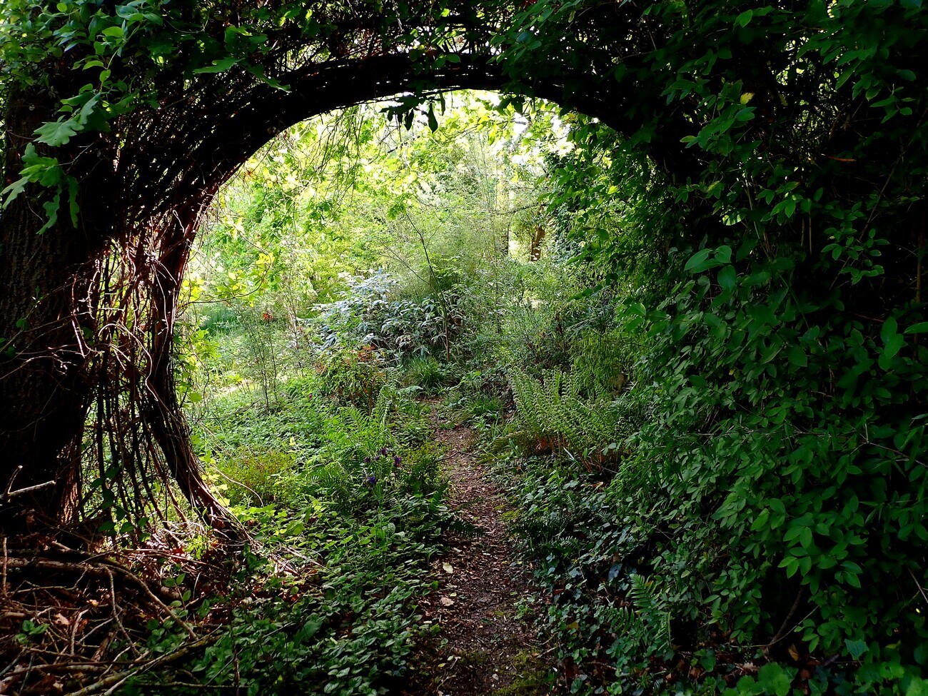 Visite du jardin expérimental de Biodiversio