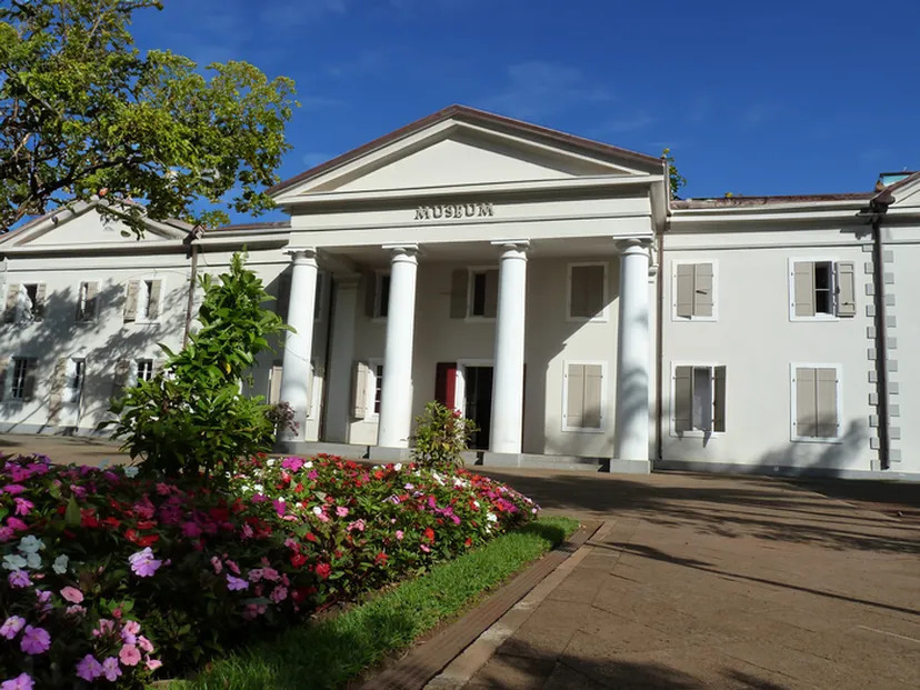 Visite libre de l'exposition « La faune des îles de l'océan Indien occidental »