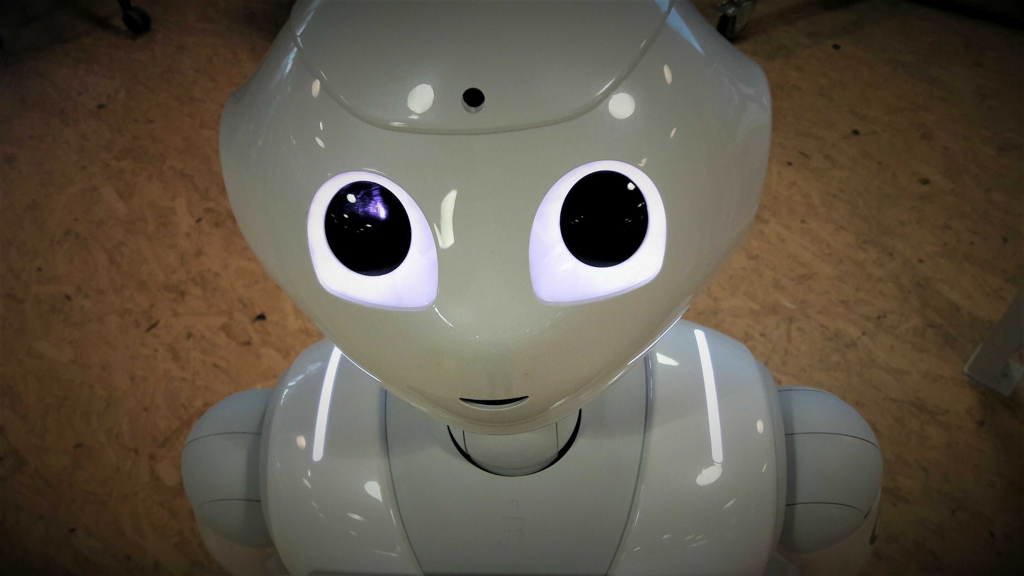 Zoom sur… le robot Pepper